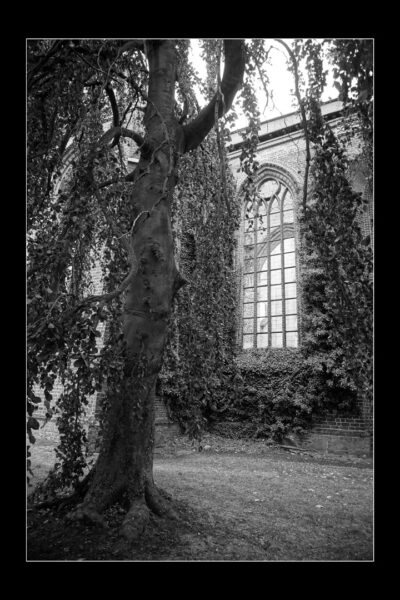 Serie: Parkspaziergang 3 (Foto: Günter Giese)