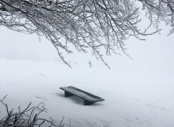 Serie: Bankwesen 1 (Foto: Manuela Hahnebach)