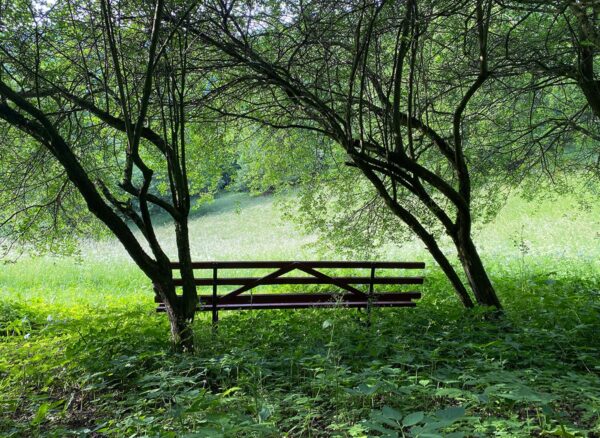 Serie: Bankwesen 2 (Foto: Manuela Hahnebach)