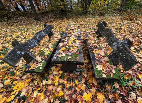 Serie: Bankwesen 3 (Foto: Manuela Hahnebach)