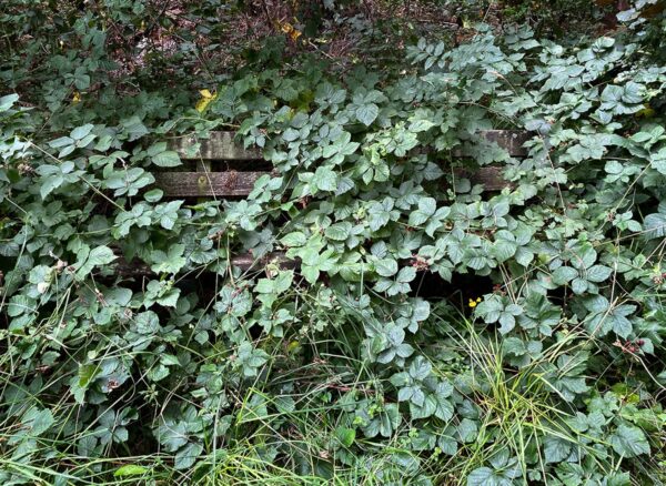 Serie: Bankwesen 5 (Foto: Manuela Hahnebach)