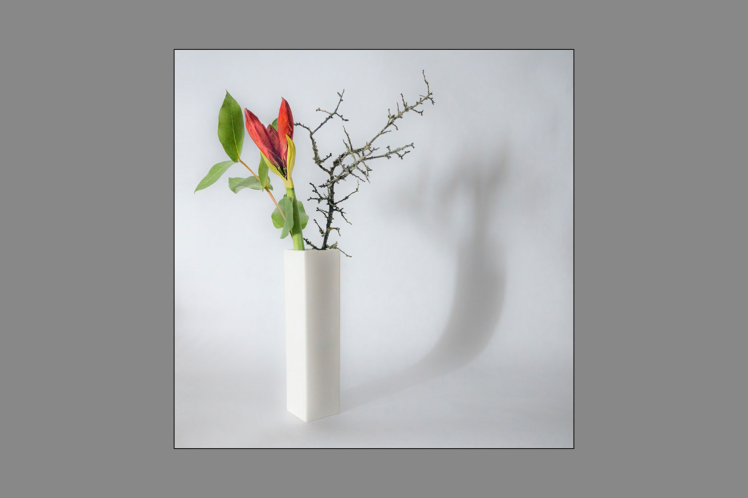 2021-Mappe-Fotoclub-Kontrast-Suhl-03-Stillleben-mit-Amaryllis-Uli-Pfeufer Stillleben mit Amaryllis (Foto: Uli Pfeufer)