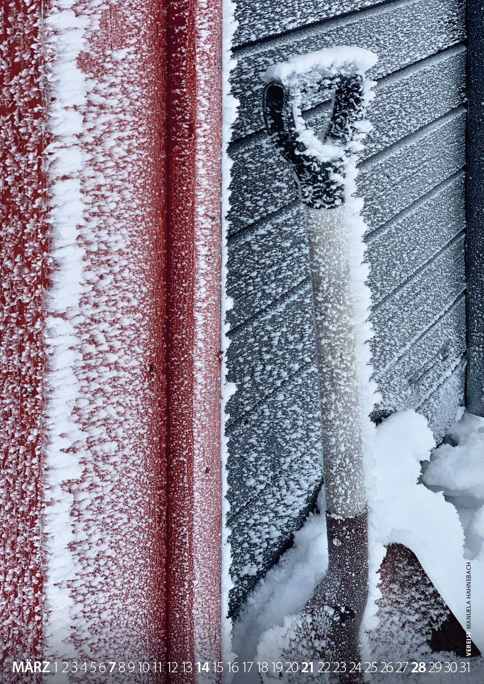 Fotoclub: Bild des Quartals 3.2025
