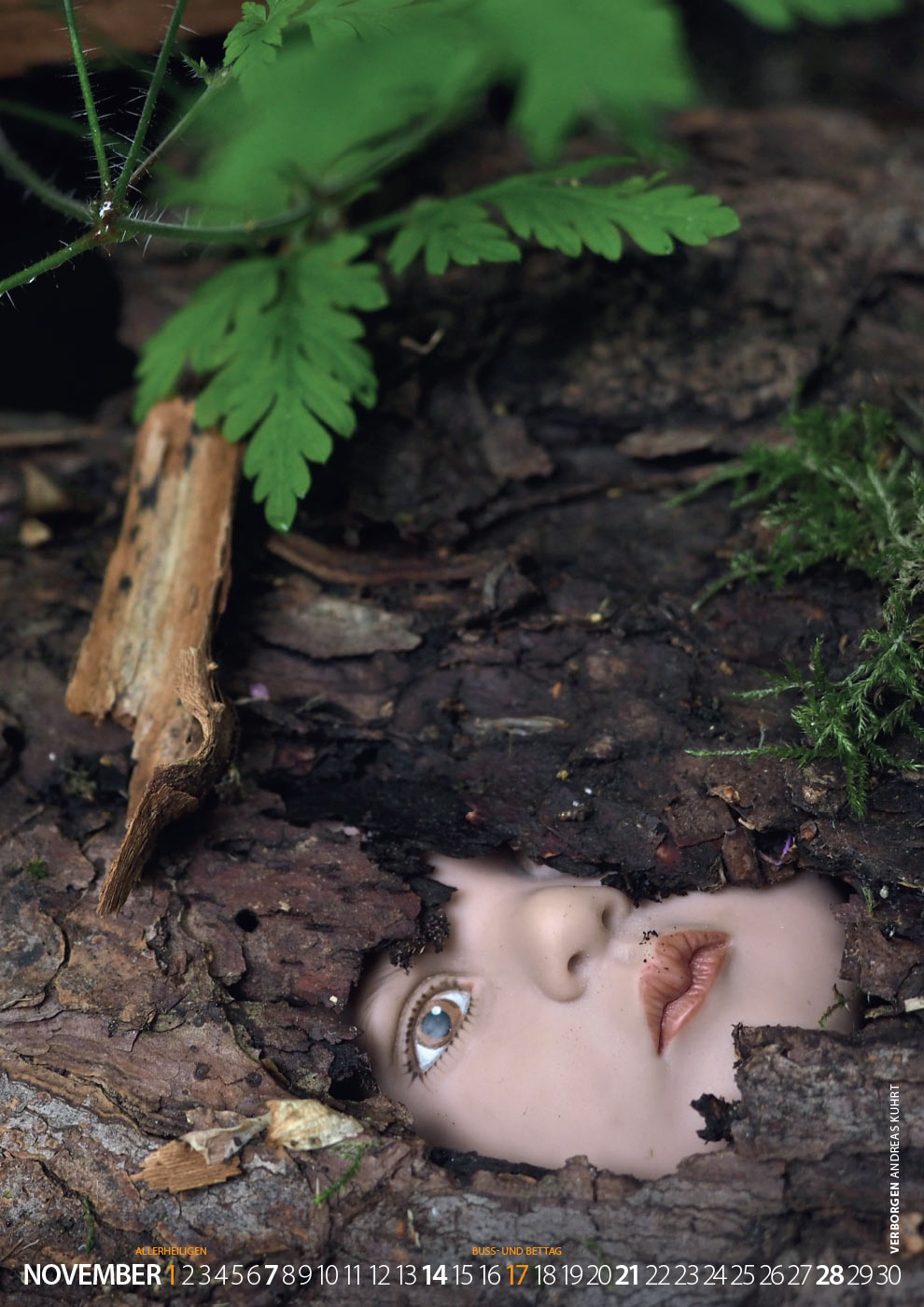 Fotoclub: Bild des Monats 12.2021