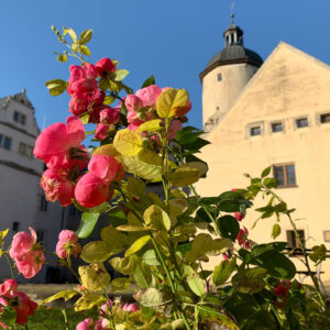 <b>23.10.2021</b> Thüringer Fototag: Burg Ranis