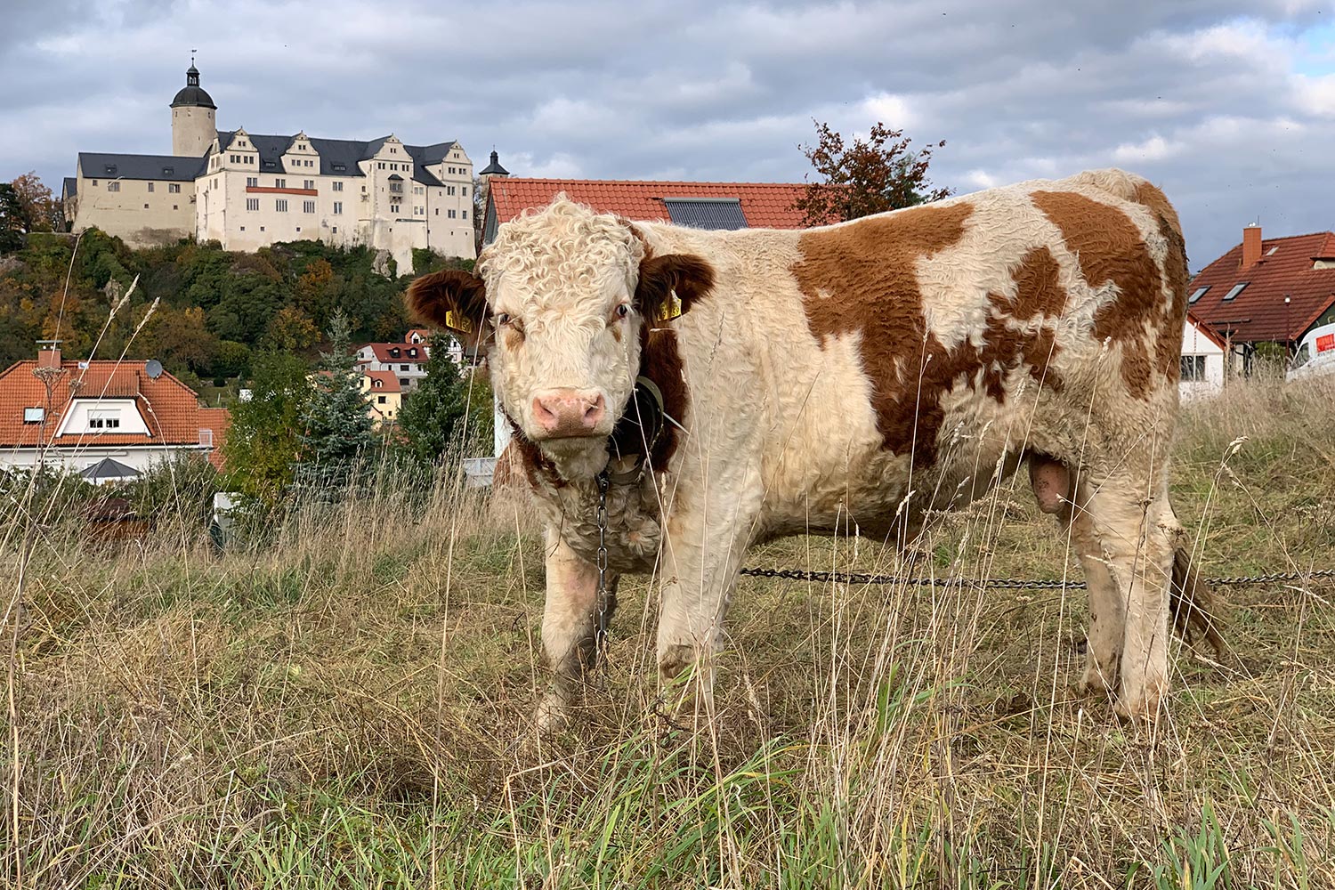 Fototag der GfF Thüringen: Burg Ranis . 23.10.2021 (Foto: Andreas Kuhrt)