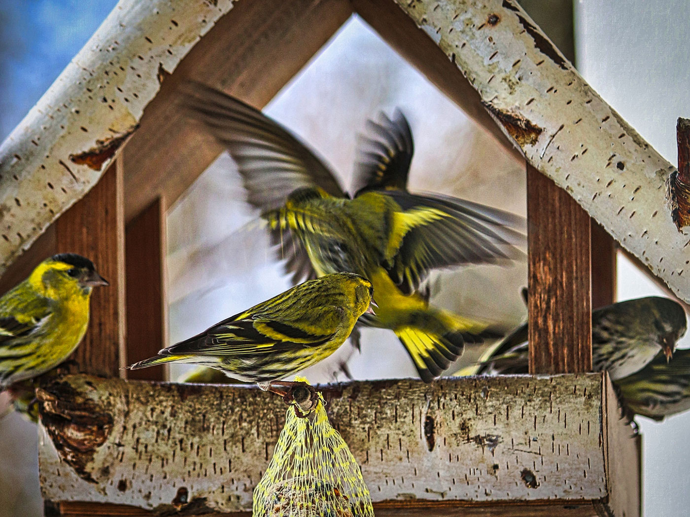 Statt Fotoclub: Patagonien-Bilder