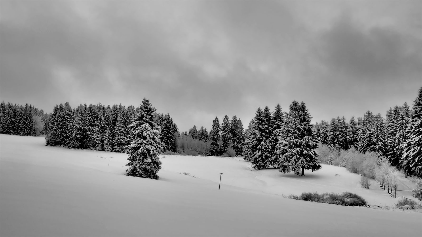 Fotoclub: Bild des Quartals 3.2025