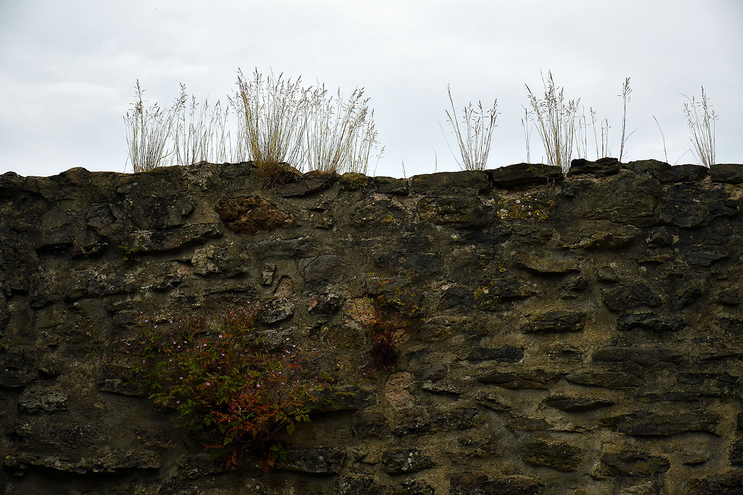 Fotoclub: Bild des Quartals 3.2025