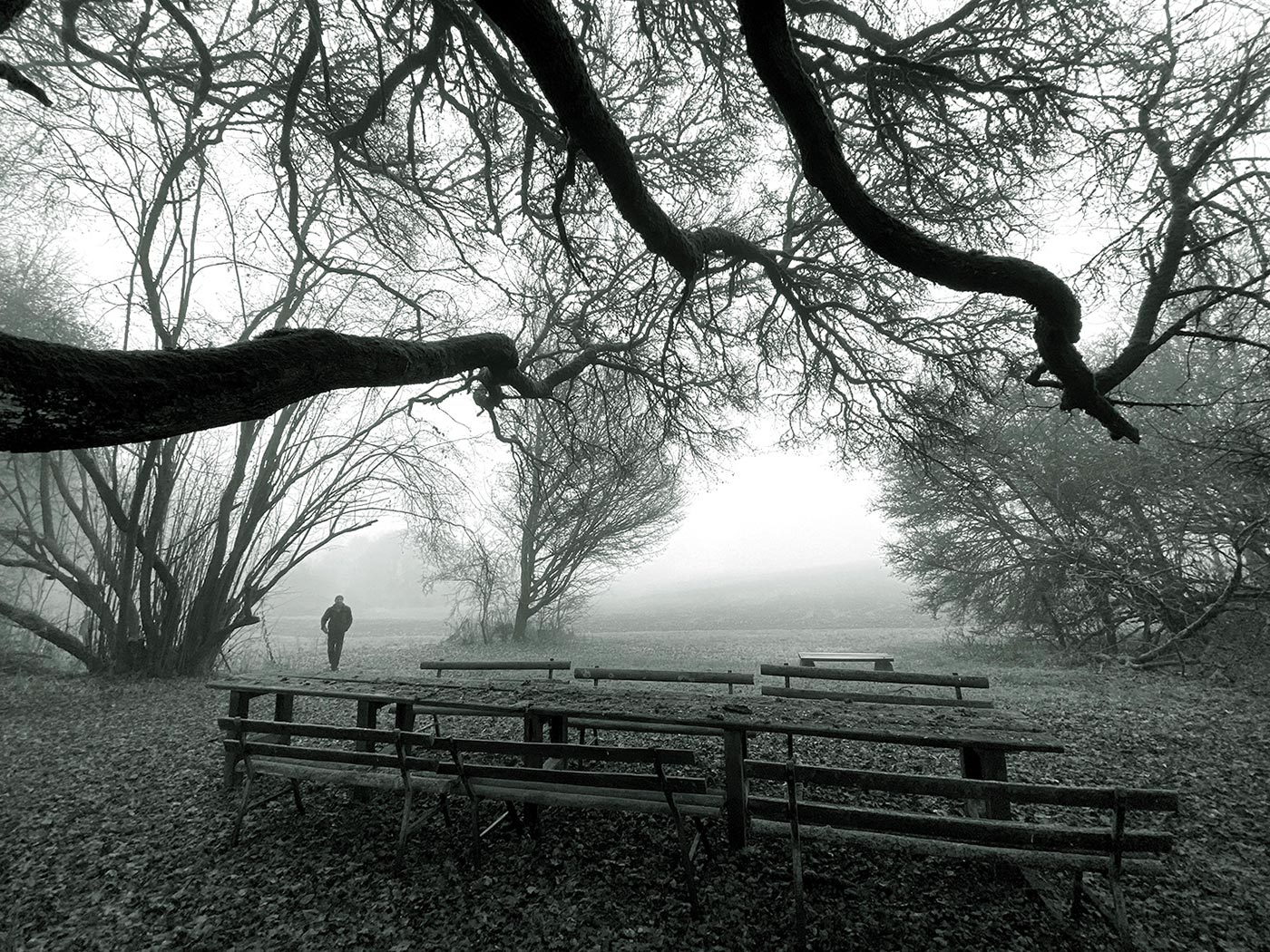 Fotoclub