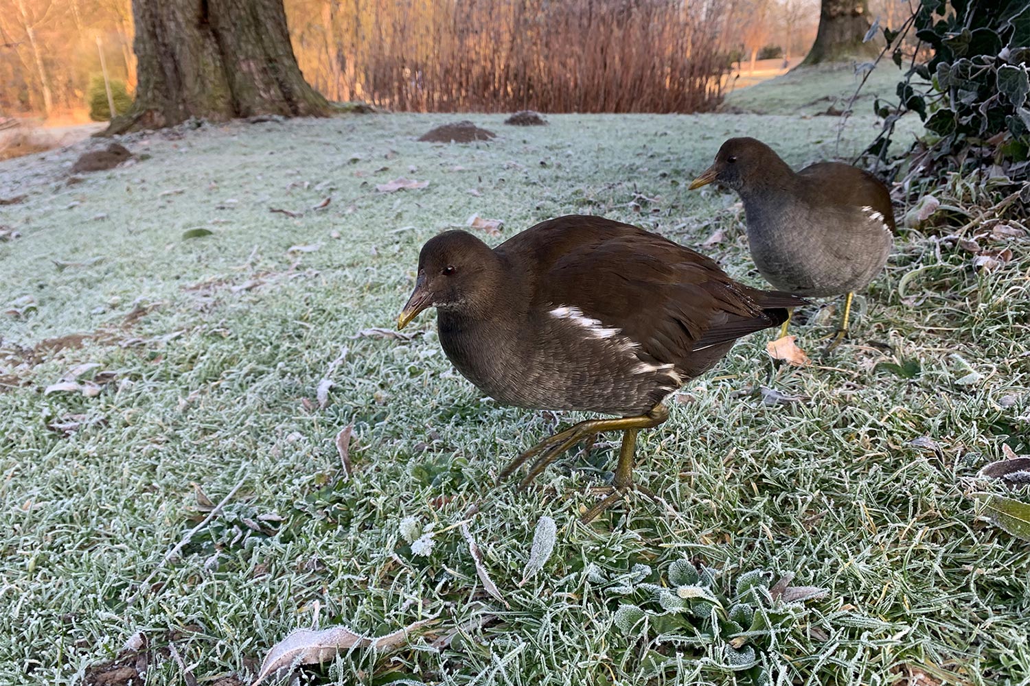 Fotoaktion Schatten