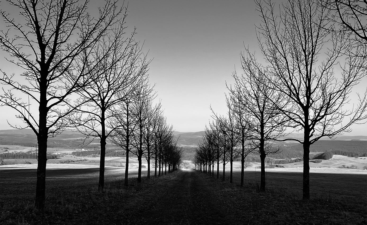 2022-03-01-allee-mh-5.66 Allee (Foto: Manuela Hahnebach)