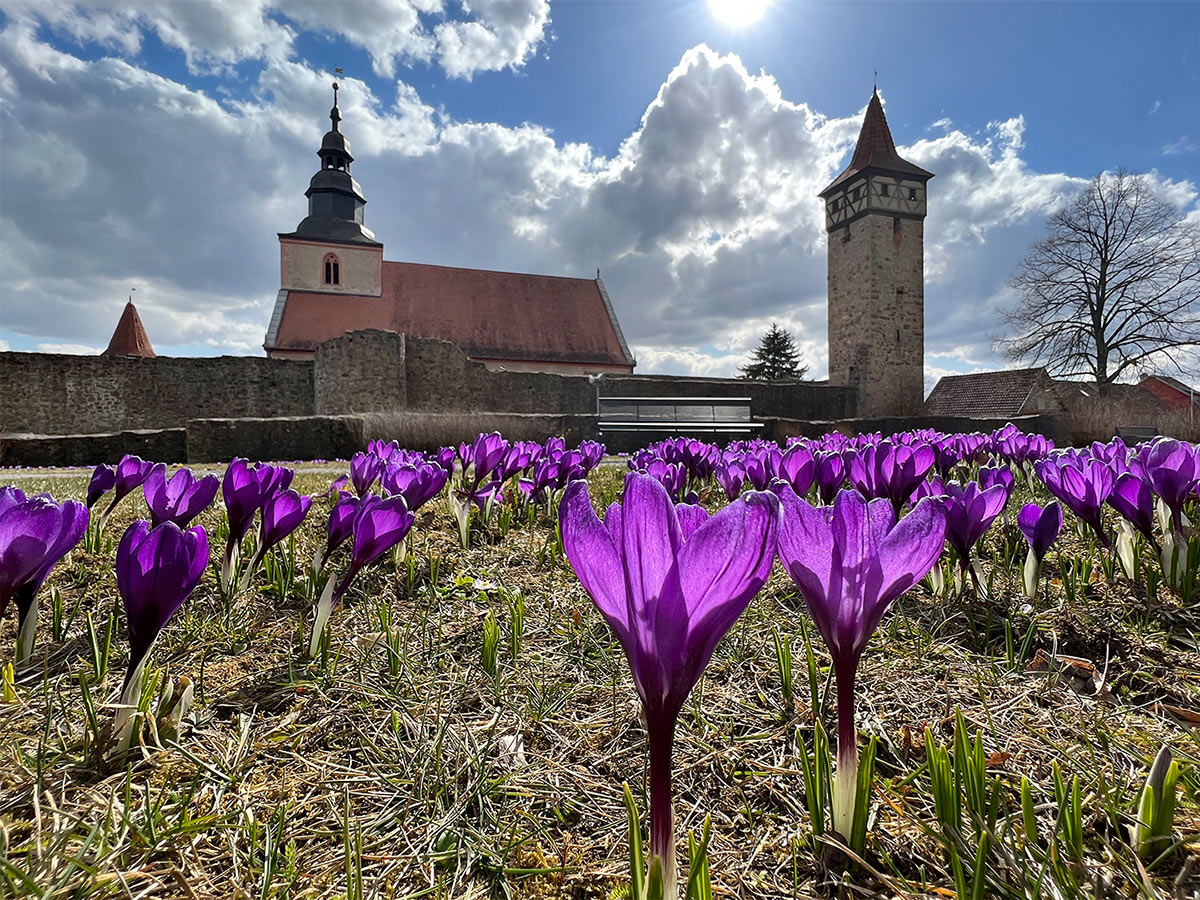 2022-03-13-kirchenburg-ostheim-mh-6.66 Kirchenburg Ostheim (Foto: Manuela Hahnebach)