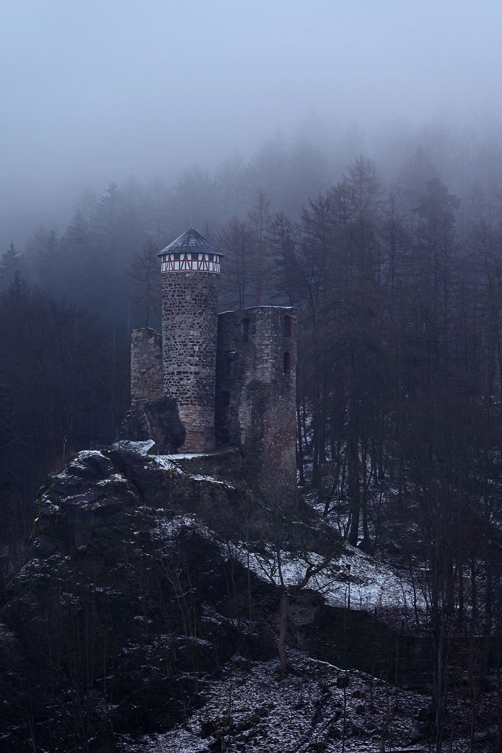 2022-03-19-Nebelburg-jhm-7.25 Nebelburg (Foto: Julia Hollandt-Moritz)