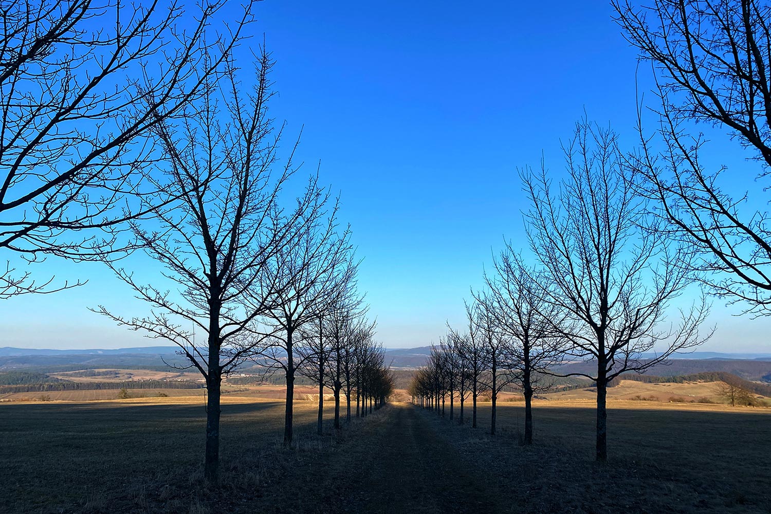 2022-03-27-Sogwirkung-IMG_4609-ak-6.33 Sogwirkung (Foto: Andreas Kuhrt)