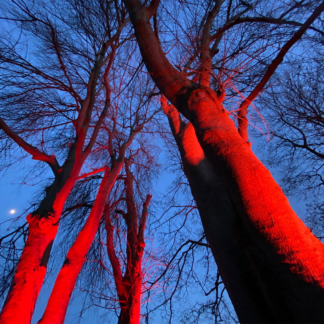 2022-03-zz05-Parkleuchten-1-IMG_4135-ak-4.66 Serie: Parkleuchten 1 (Foto: Andreas Kuhrt)