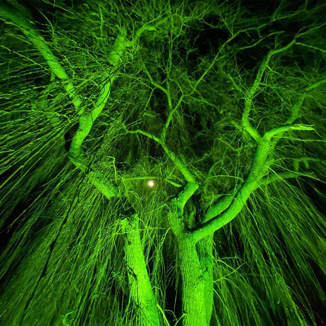 Statt Fotoclub: Patagonien-Bilder