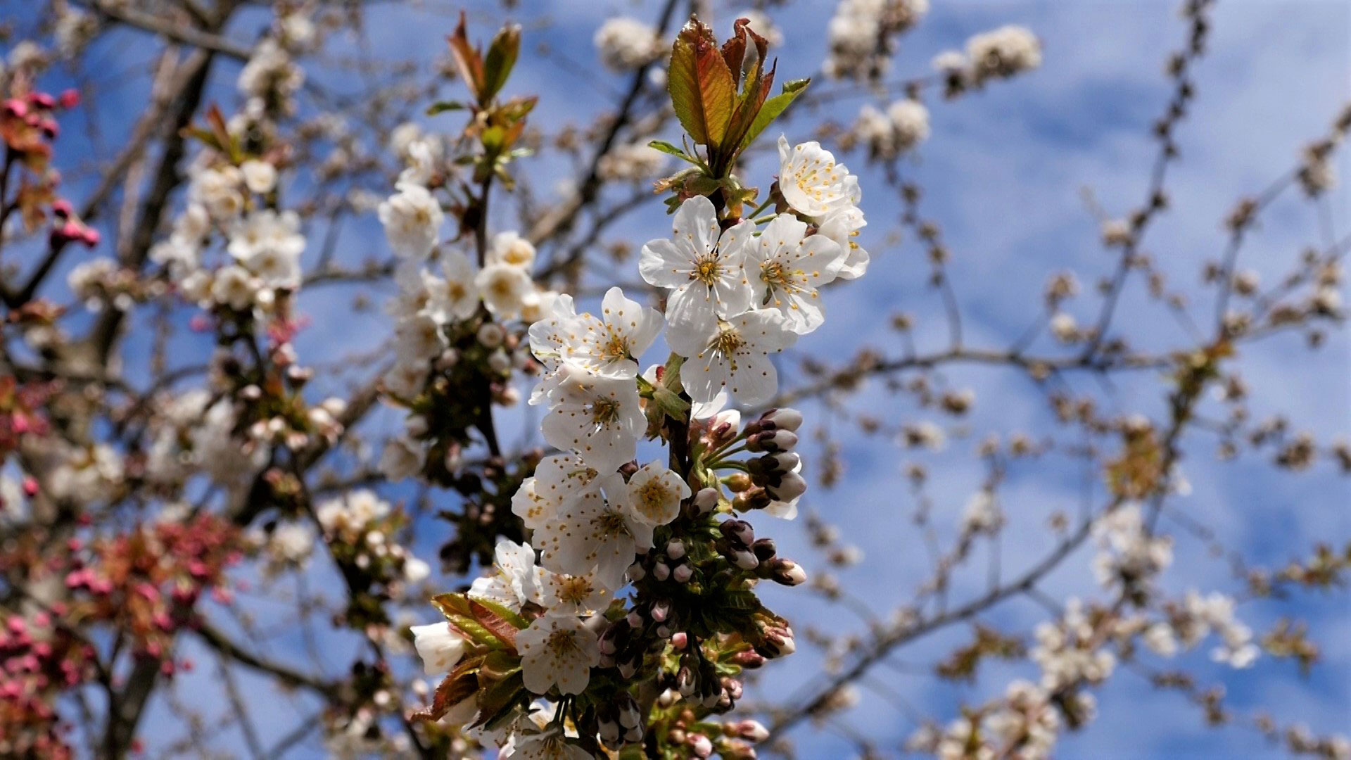 Fotoclub: Bild des Quartals 3.2025