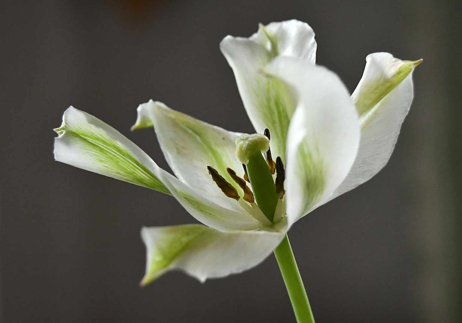 Einsendeschluss Fotowettbewerb "Ästhetiken des Verfalls"