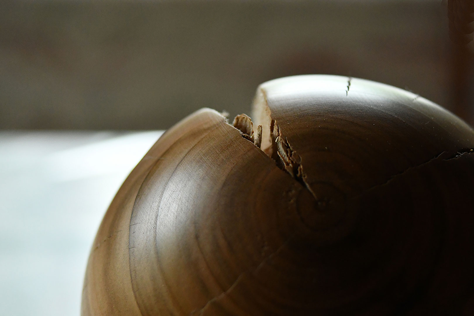 Der Riss (Foto: Günter Giese)