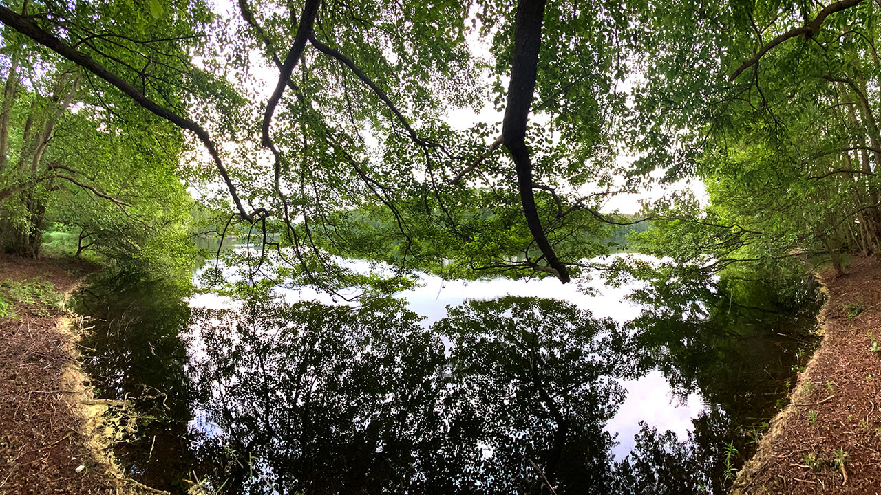 Bucht unter Bäumen (Foto: Andreas Kuhrt)