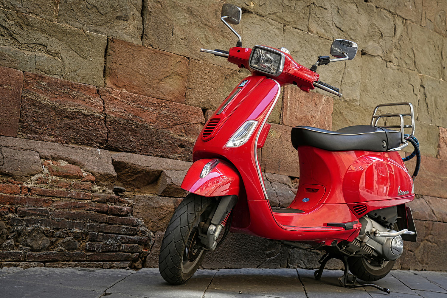 Schönheit (Foto: Roland Kastner)