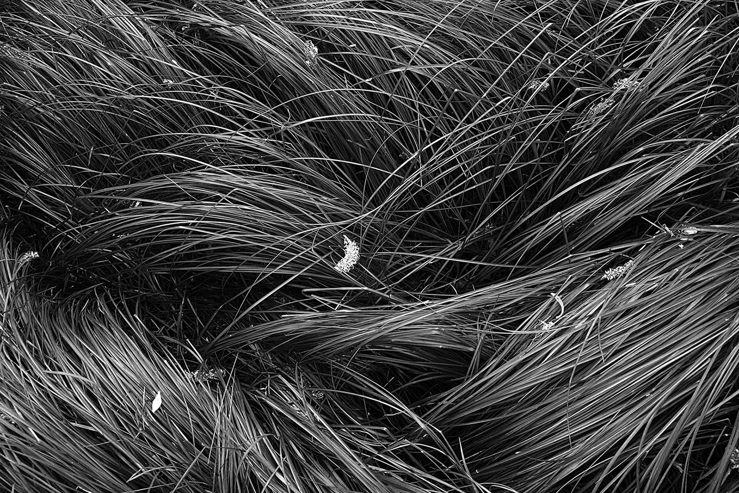 Wogen (Foto: Andreas Kuhrt)