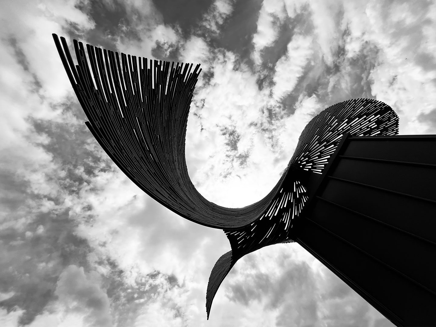 Serie: Windsbraut 2 (Foto: Manuela Hahnebach)