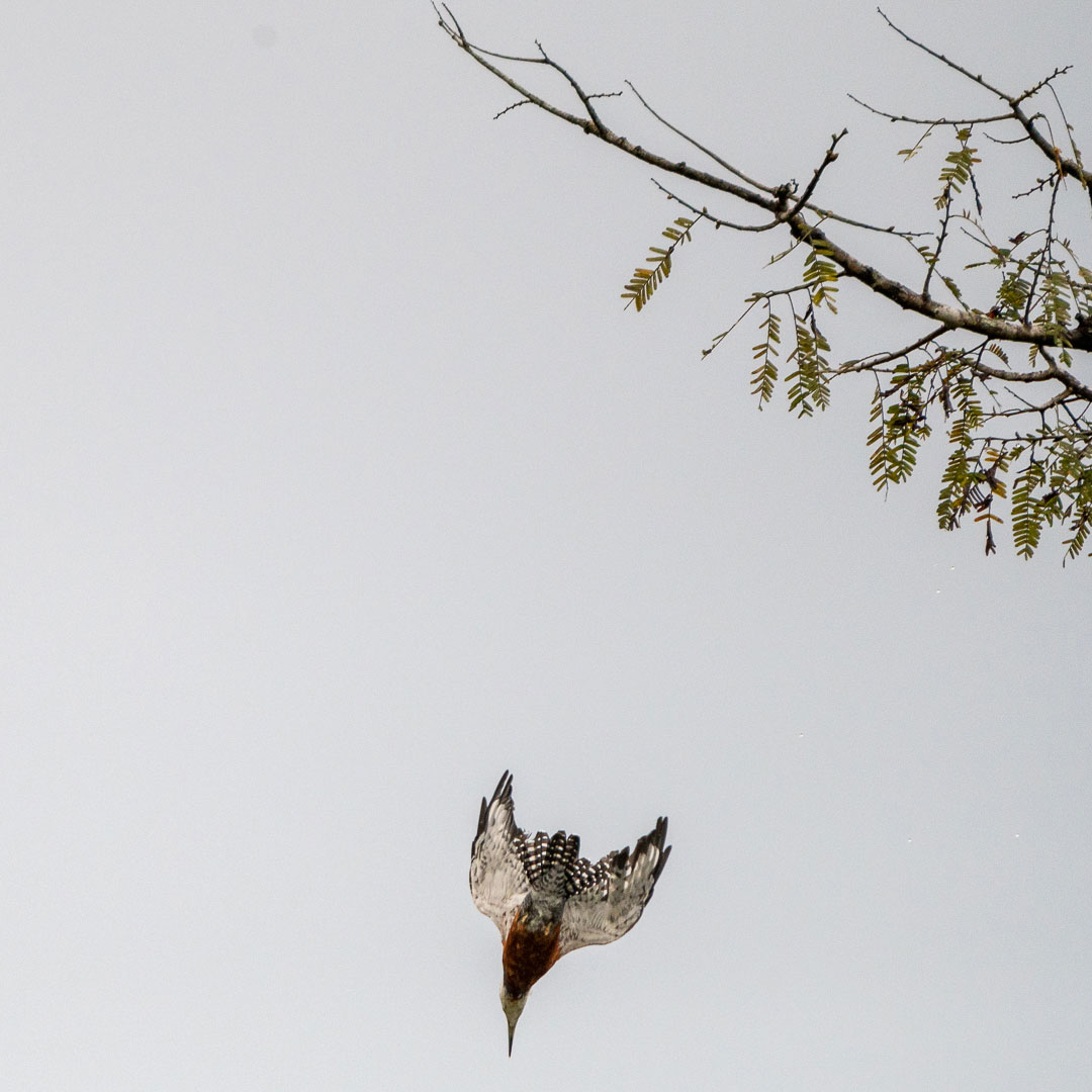 Serie: Der Jäger 2 (Foto: Uli Pfeufer)