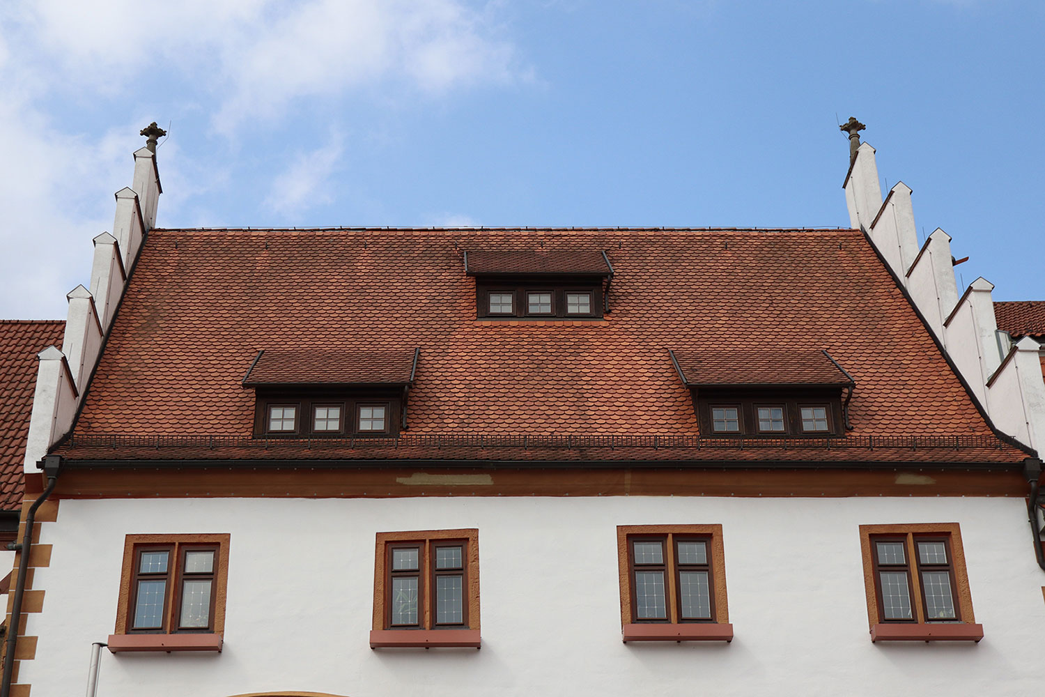 Fotoclub: Bild des Monats 10.2023