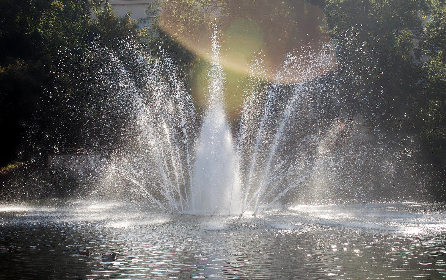 Fotoclub: Mappenthema: Spiel