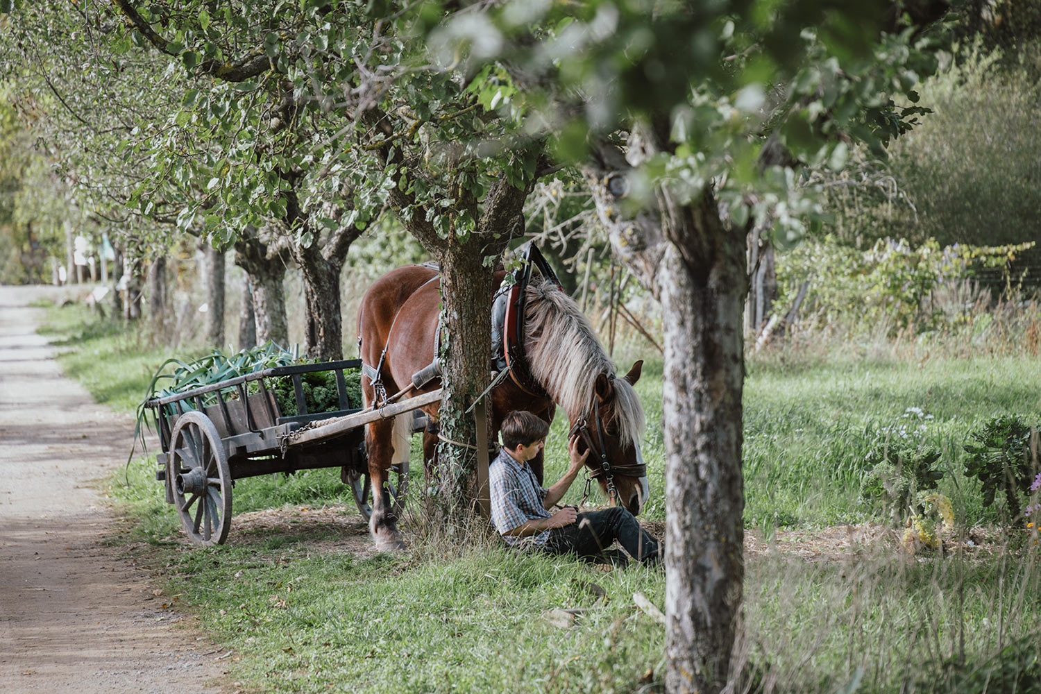 Fotoclub: Bild des Monats 5.2019