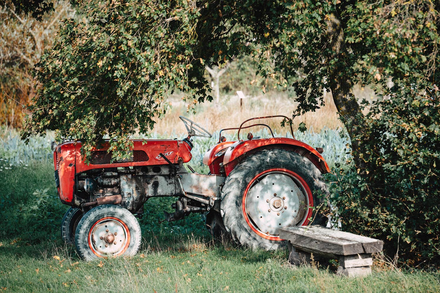 Trecker (Foto: Jens Gutberlet)