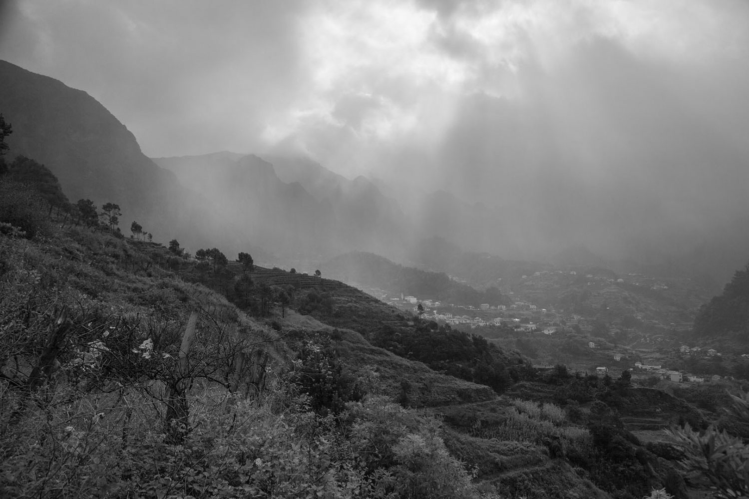 Fotoclub