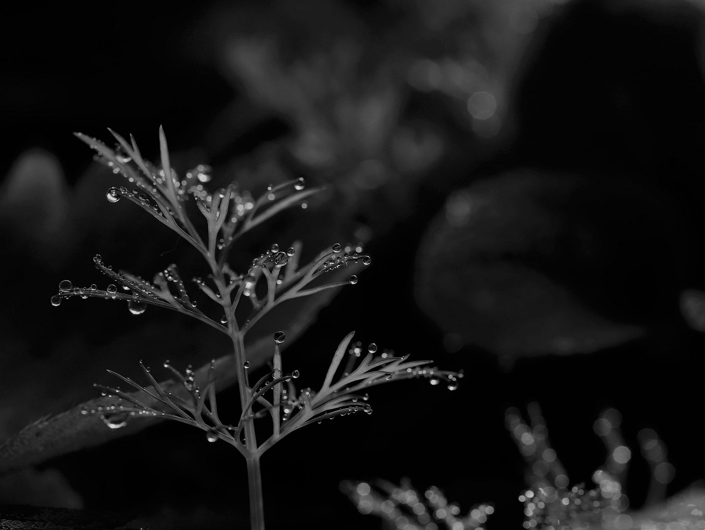 Fotoclub: Bild des Monats 06.2022