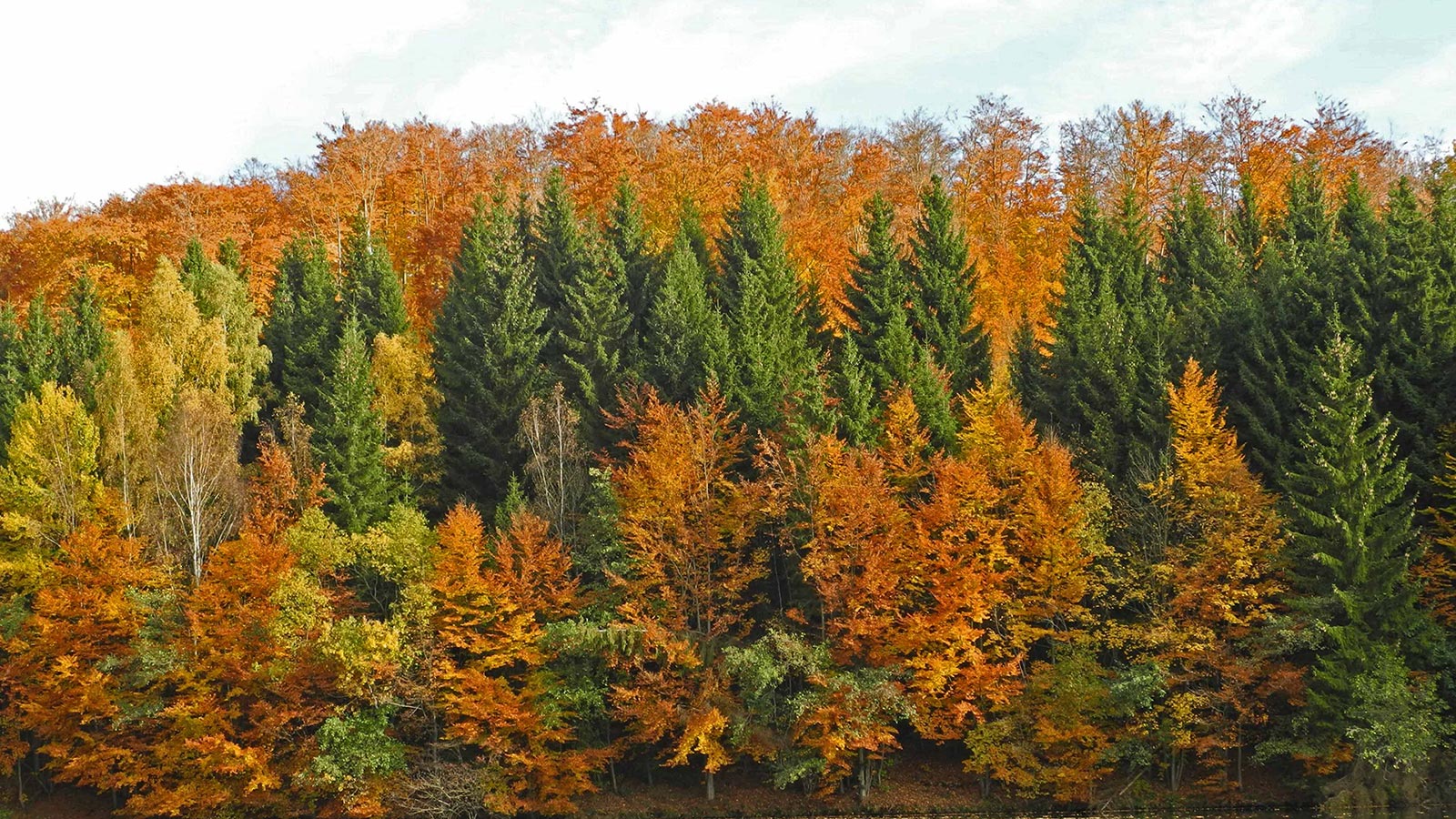 Indian-Summer (Foto: Claus Gebhardt)