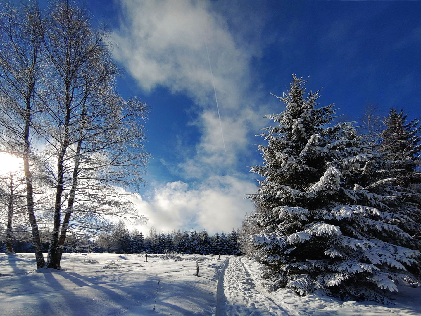 Winterspiel (Foto: Michael Stürtz)