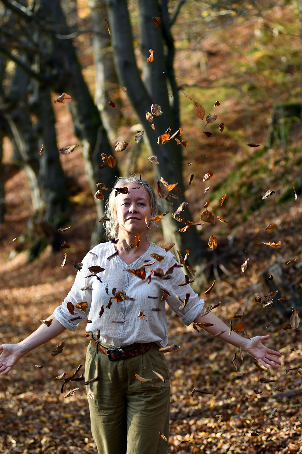 Serie: Im Herbstwald 3 (Foto: Günter Giese)