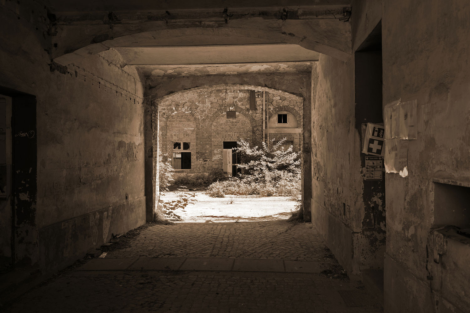 Fotoclub: Fotobearbeitung mit KI