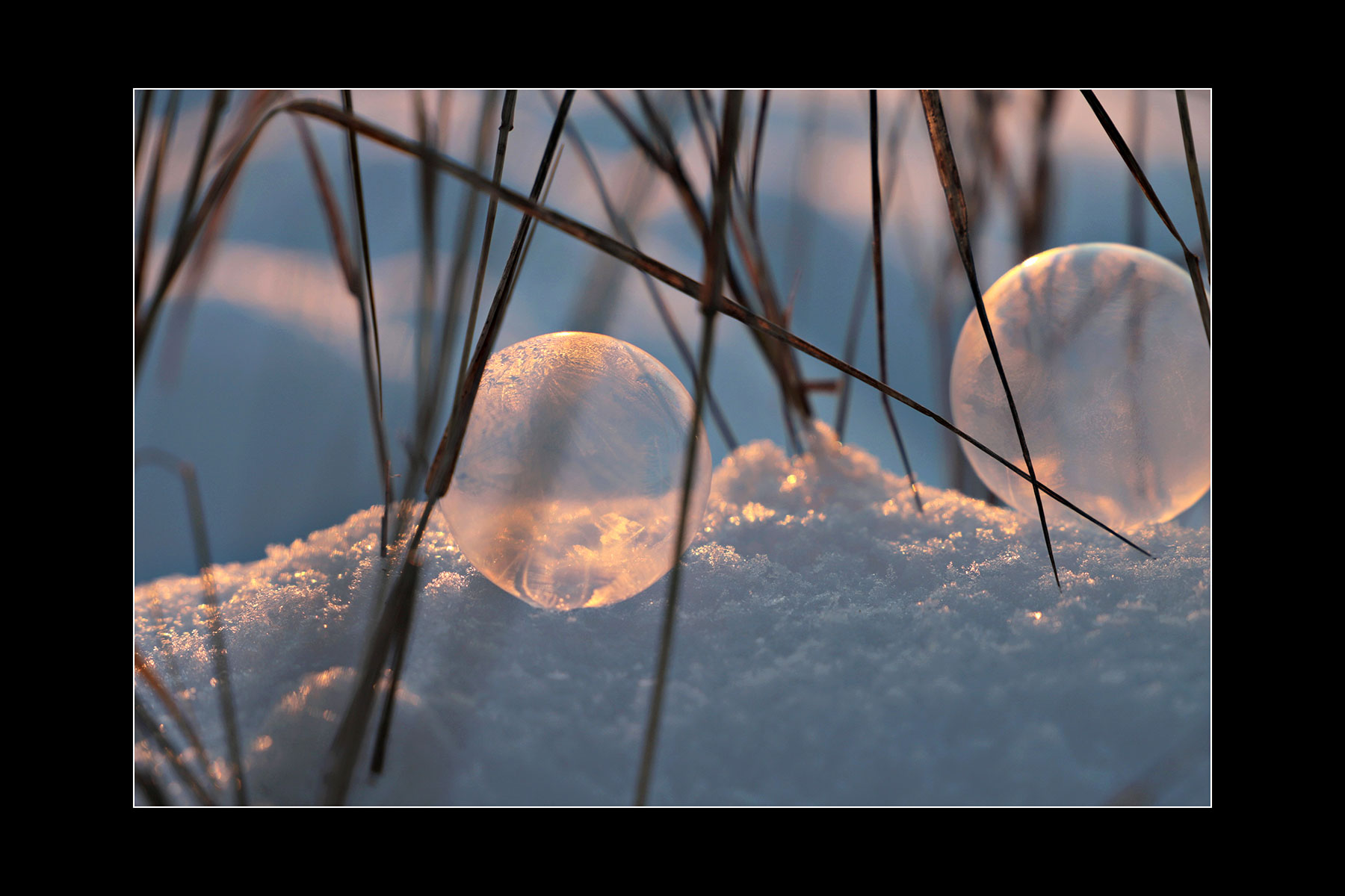 2022-23-fotoclub-kontrast-suhl-mappenwettbewerb-09-kuehle-waerme-kerstin-wolff Kühle Wärme (Foto: Kerstin Wolff)