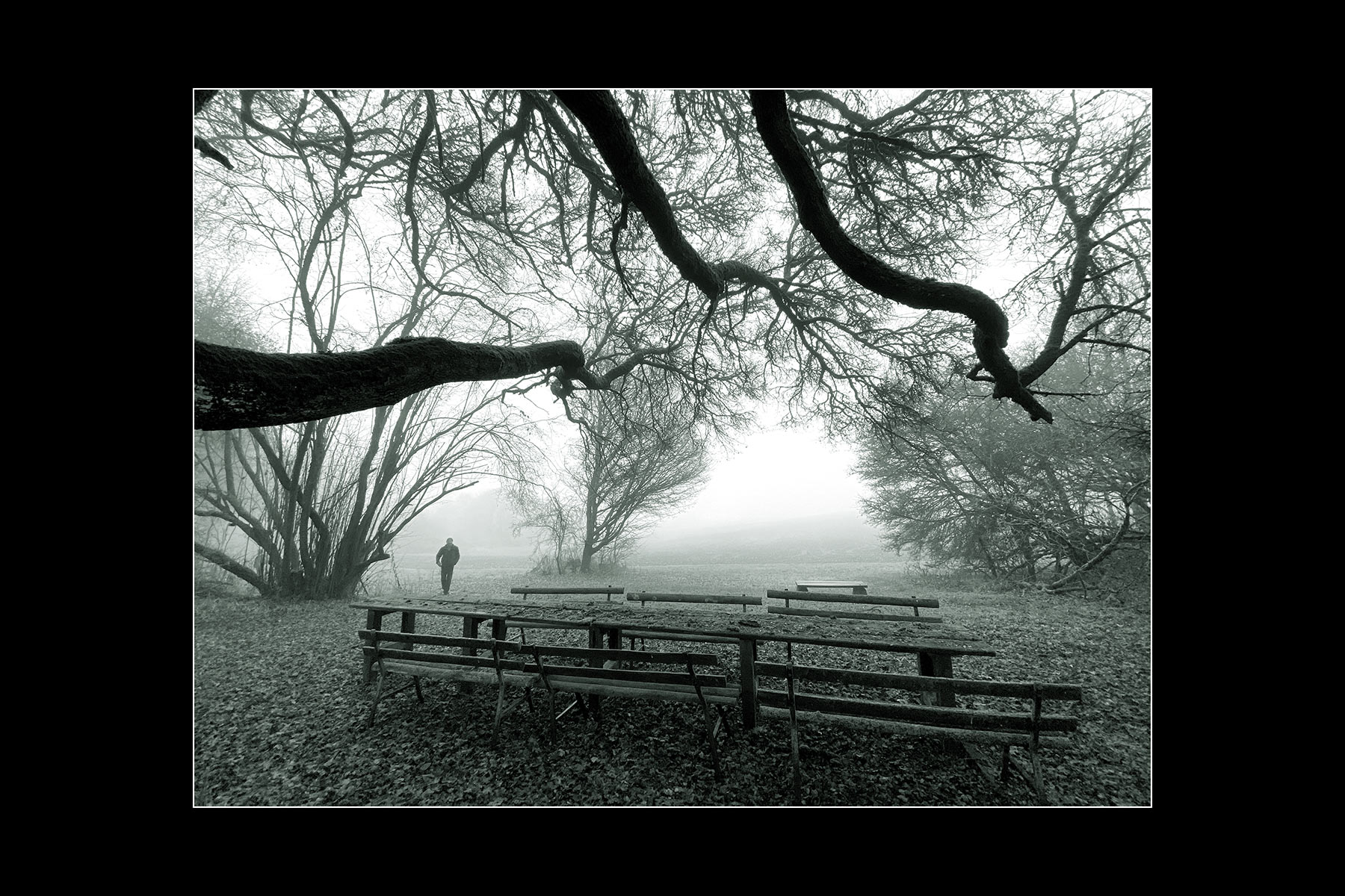 2022-23-fotoclub-kontrast-suhl-mappenwettbewerb-10-nebelbaenke-manuela-hahnebach Nebelbänke (Foto: Manuela Hahnebach)