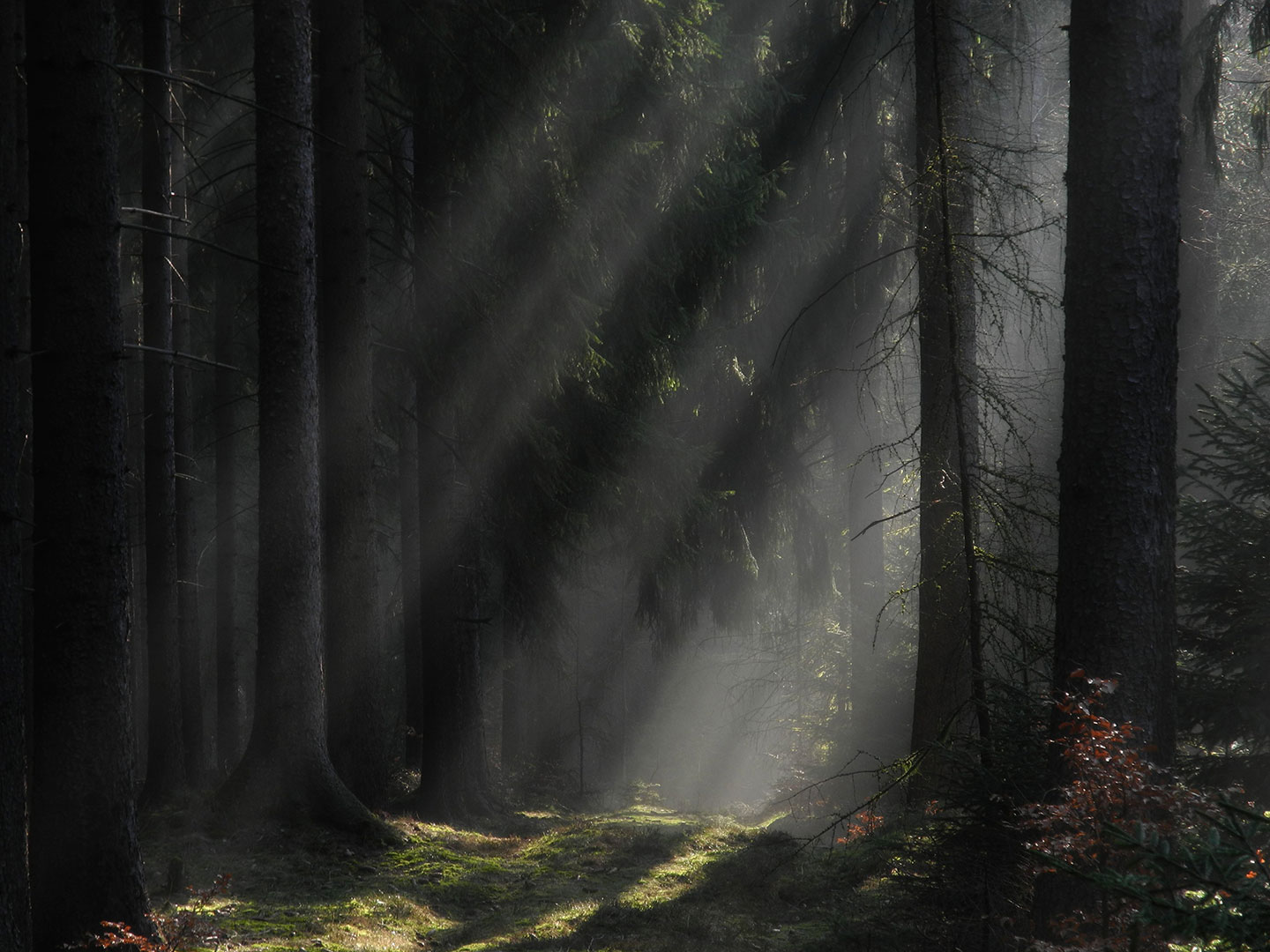 Am Morgen (Foto: Claus Gebhardt)