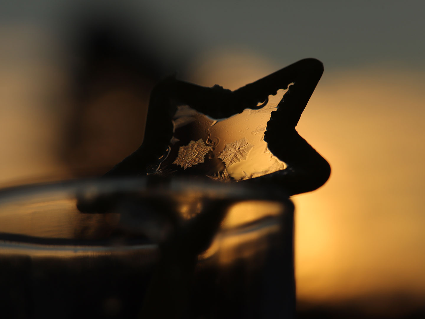 Eis-Stern (Foto: Kerstin Wolff)