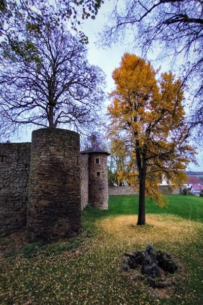 Herbst (Foto: Michael Stürtz)