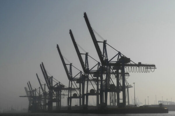 Kräne (Foto: Claus Gebhardt)