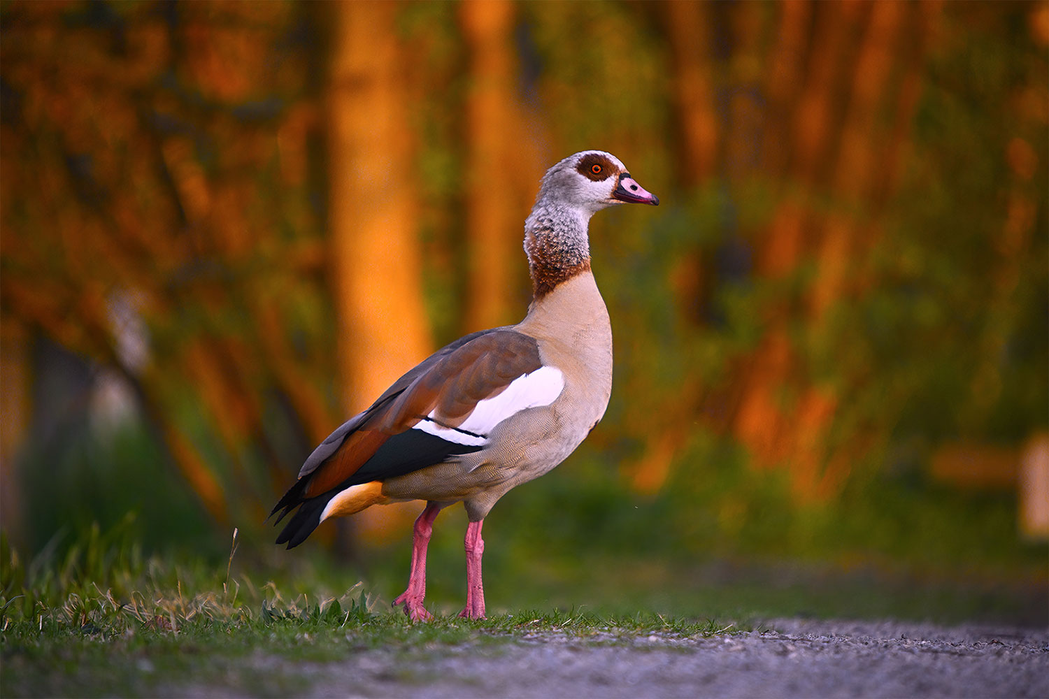 Fotoclub online: Mappenbewertung Jenaer Fotoclub
