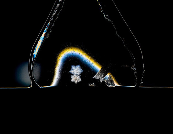 Neon (Foto: Kerstin Wolff)