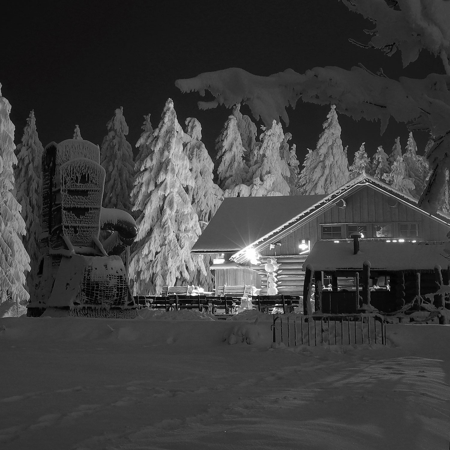 Nordpol (Foto: Michael Stürtz)