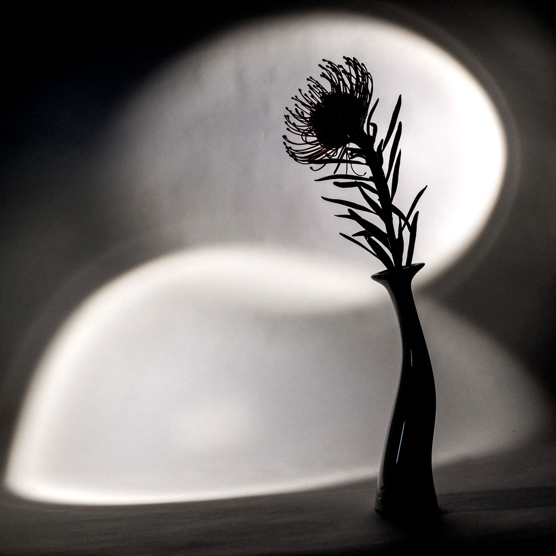 Fotoclub