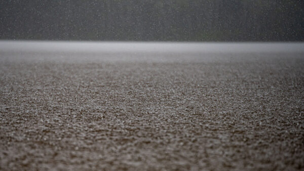 Regen (Foto: Uli Pfeufer)